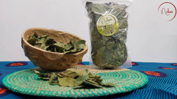 Feuilles de kinkelibat