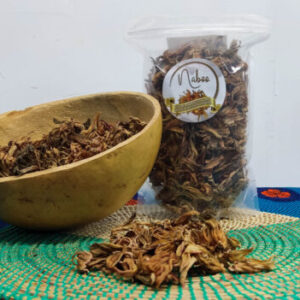 Fleurs d'hibiscus blanc